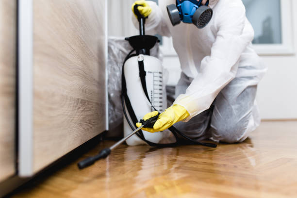 Best Pest Removal Services  in Union City, MI