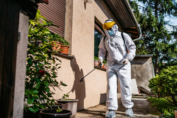Best Best Pest Control Near Me  in Union City, MI