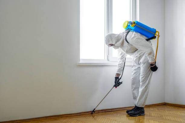 Best Best Pest Control Companies  in Union City, MI