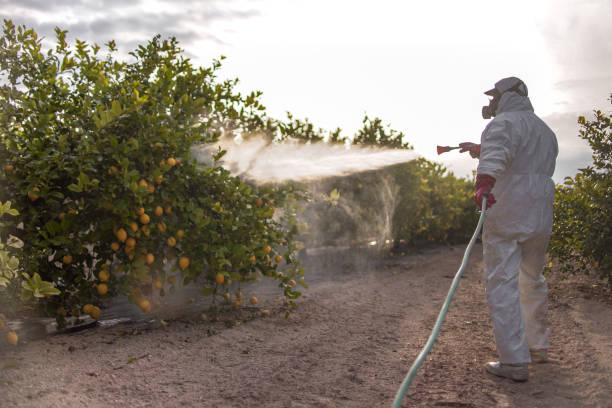 Best Commercial Pest Control Services  in Union City, MI