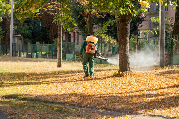 Best Exterminator Services  in Union City, MI