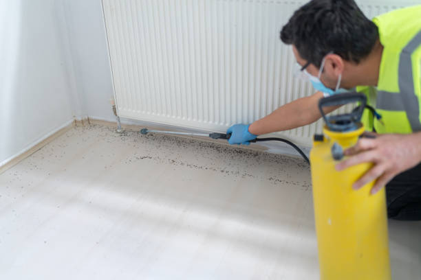 Best Mosquito Control Services  in Union City, MI