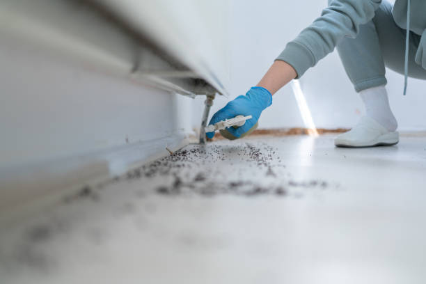 Best Local Pest Control Services  in Union City, MI
