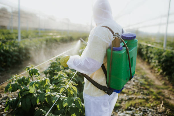 Best Wildlife Control Services  in Union City, MI